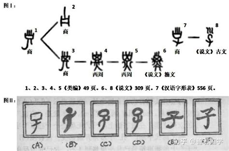 巳火|十二地支最深刻解读之——巳